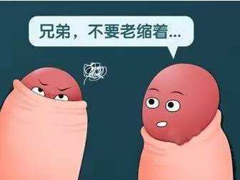 包皮过长会引起什么危害